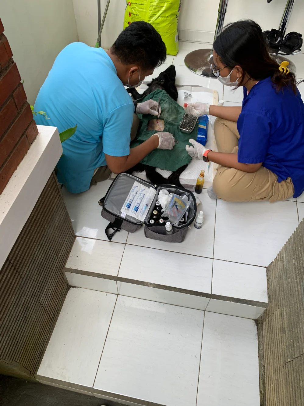 Program Image